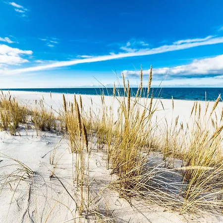 Polanki Aqua Z Bezplatnym Basenem, Bawialnia, Parkingiem I Fitness